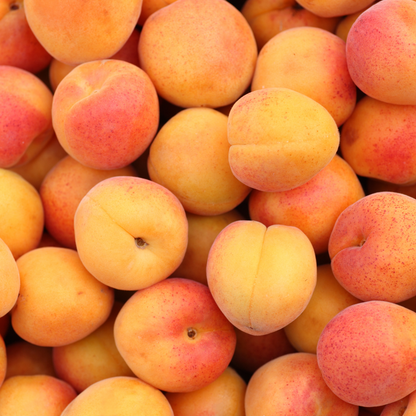 Apricot Jam