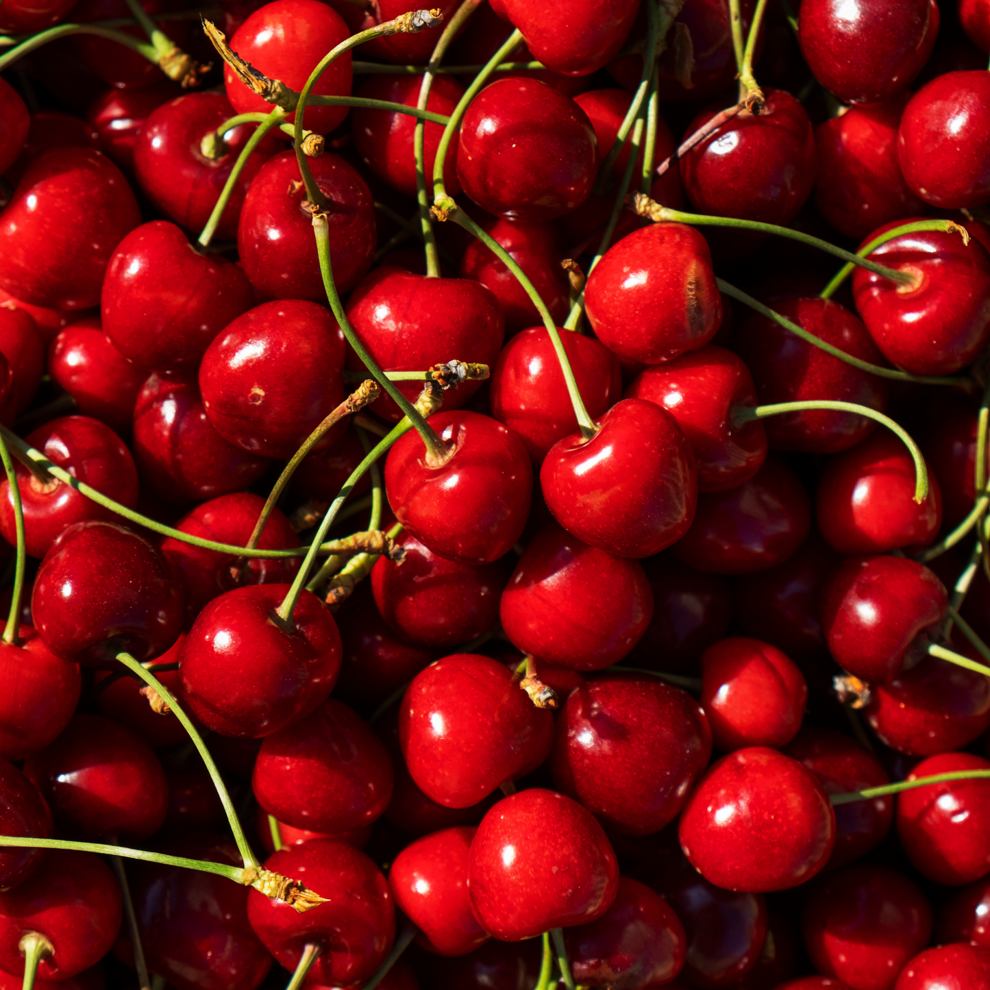 Sour Cherry Jam