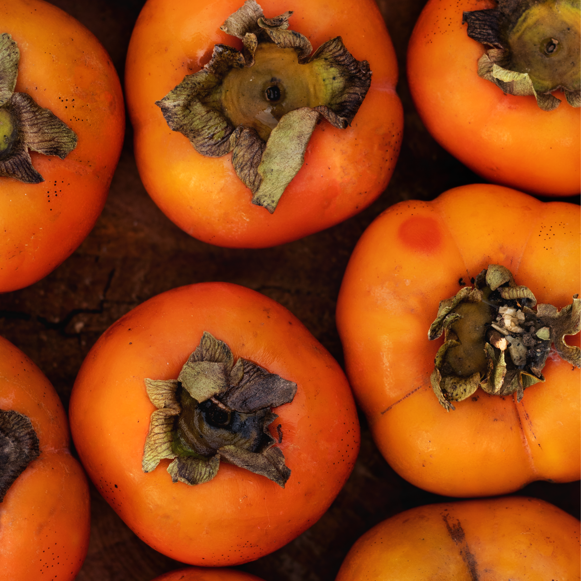 Dried Persimmon